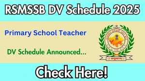 RSMSSB Primary School Teacher DV Schedule 2025: Check Document Verification Date @ rssb.rajasthan.gov.in