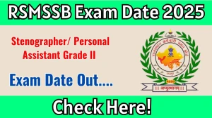 RSMSSB Stenographer/ Personal Assistant Grade II Exam Date 2025 Announced at rssb.rajasthan.gov.in Exam details here RSMSSB Stenographer/ Personal Assistant Grade II Exam Date 2025 Announced at rssb.rajasthan.gov.in Exam details here