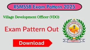 RSMSSB VDO Exam Pattern 2025