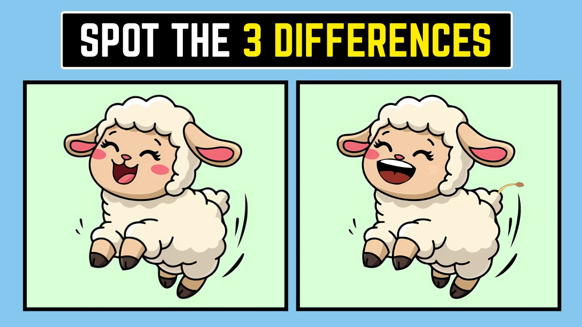 Spot the Difference Game: Only High IQ Geniuses Can Spot the 3 Differences in this Sheep Image in 10 Secs