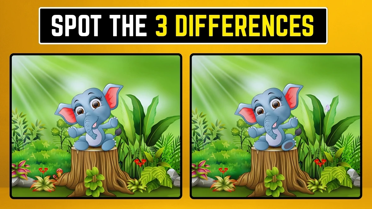 Spot the Difference Game: Within 10 Seconds Spot the 3 Differences in the Elephant Pictures