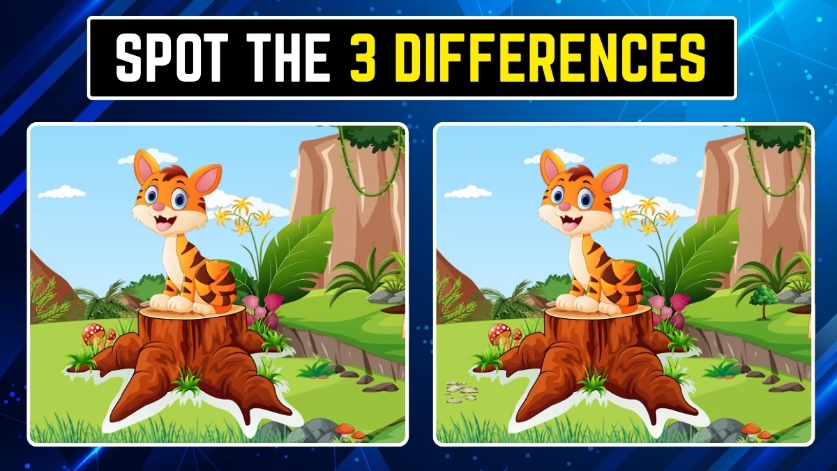Spot the Difference: Only People with Eagle Eyes Can Spot the 3 Differences in 10 Secs