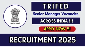 TRIFED Senior Manager Recruitment 2025 - Apply Offline for 06 Posts TRIFED Senior Manager Recruitment 2025 - Apply Offline for 06 Posts