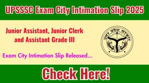 UPSSSC Junior Assistant, Junior Clerk and Assistant Grade III Exam City Intimation Slip 2025 OUT Download Link upsssc.gov.in