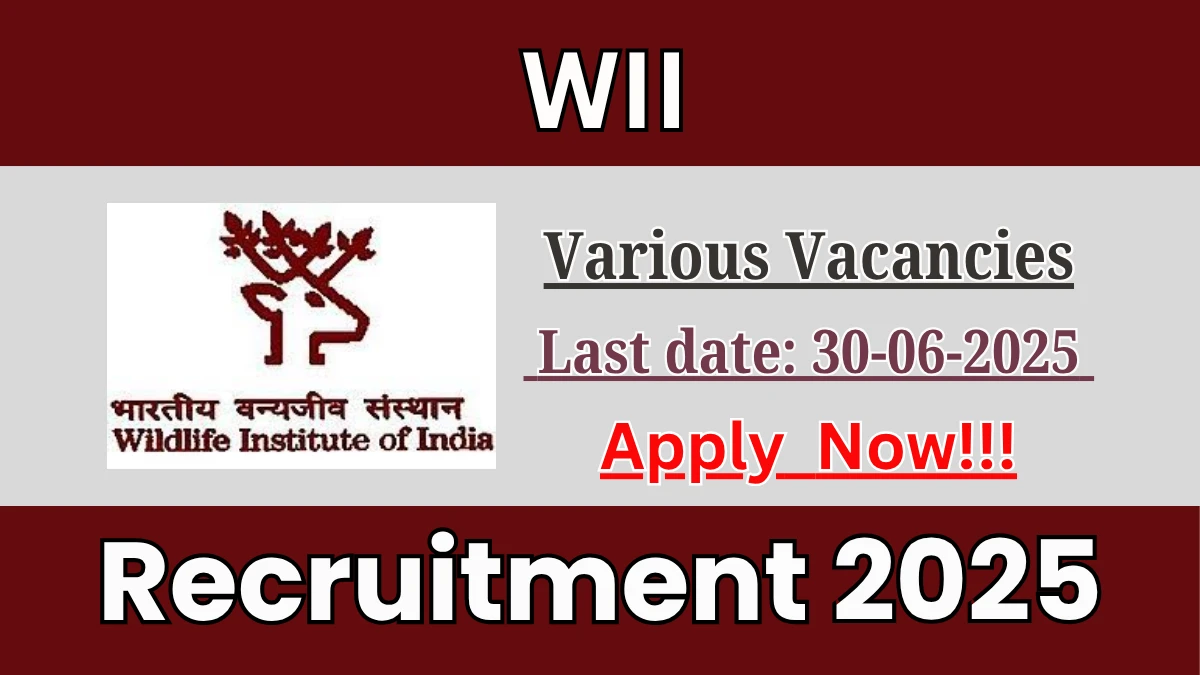 WII Recruitment 2025 - Apply Offline for 35 DEO, Project Associate and More Posts