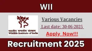 WII Recruitment 2025 - Apply Offline for 35 DEO, Project Associate and More Posts