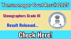 Yamunanagar Court Stenographers Grade III Result 2025 Out at yamunanagar.dcourts.gov.in, Direct Link to Download Result PDF Here