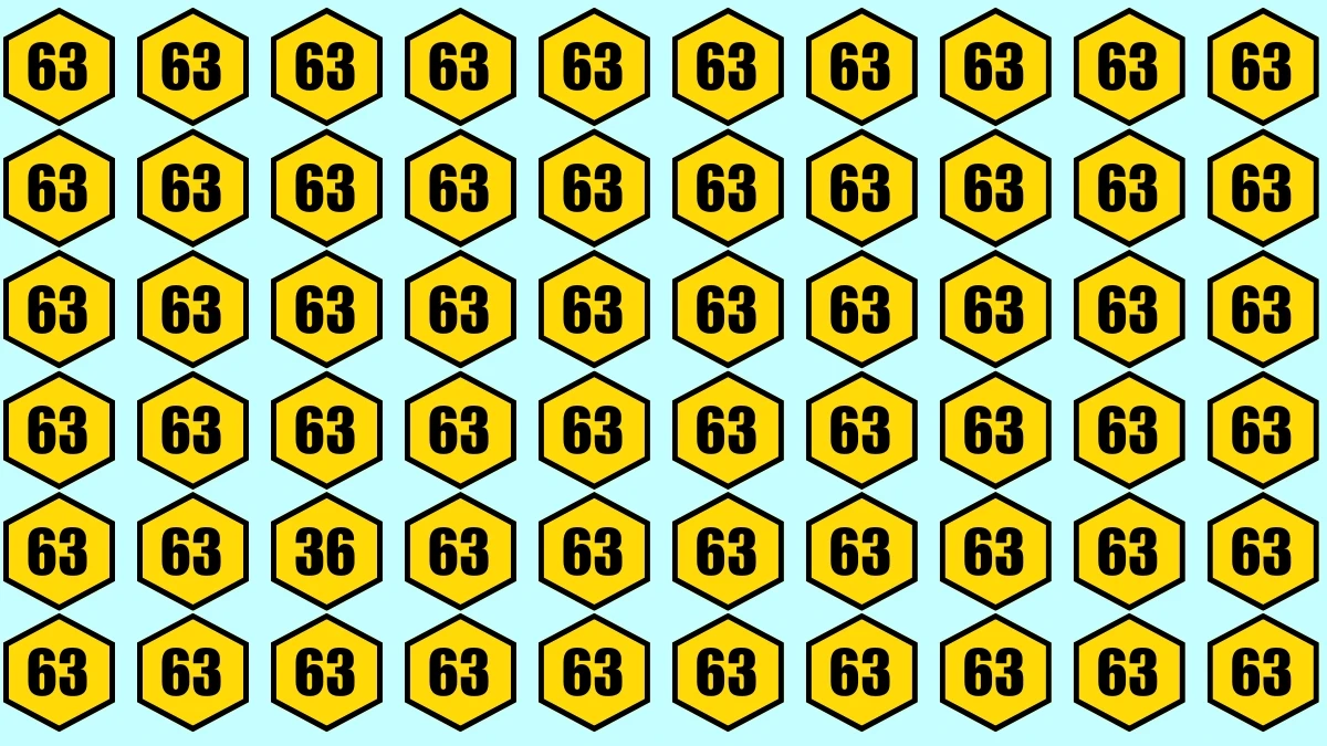 You have eagle eyes and a sharp brain if you can spot 36 among 63s in 6 seconds!