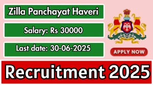 Zilla Panchayat Haveri Assistant District Planning Manager Recruitment 2025 - Apply Online