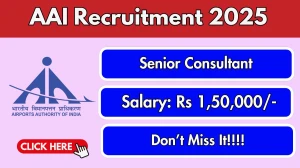 AAI Senior Consultant Recruitment 2025 - Apply Online for 10 Posts