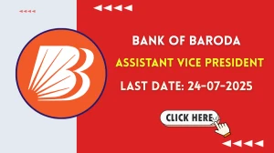 Bank of Baroda Assistant Vice President Recruitment 2025 - Apply Online for 10 Posts