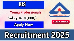 BIS Young Professionals Recruitment 2025 - Apply Online for 01 Posts