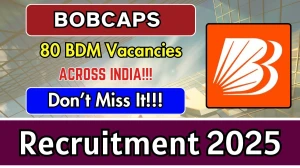 BOBCAPS Business Development Manager Recruitment 2025 - Apply Offline for 80 Posts