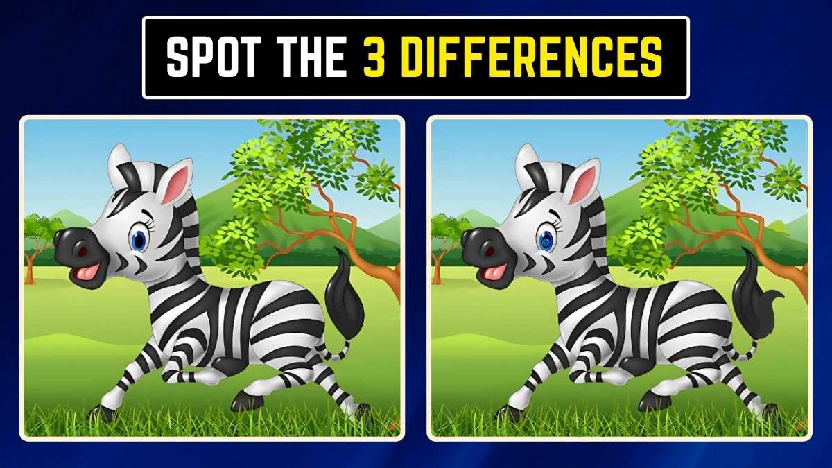 Brain Teaser: Within 8 Seconds Spot the 3 Differences in the Zebra Pictures