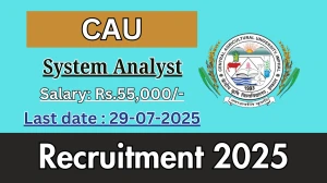 CAU System Analyst Recruitment 2025 - Apply Offline