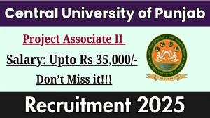 Central University of Punjab Project Associate II Recruitment 2025 – Walk in