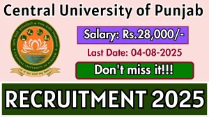 Central University of Punjab Project Technical Support III Recruitment 2025 - Apply Offline for 1 Posts