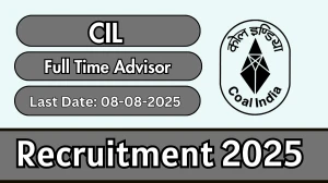 CIL Full Time Advisor Recruitment 2025 - Apply Offline