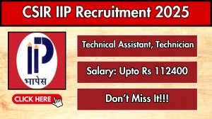 CSIR IIP Recruitment 2025 - Apply Online for 14 Technical Assistant, Technician Posts