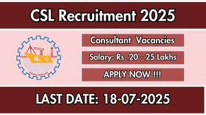 CSL Consultant Recruitment 2025 - Apply Online for 03 Posts