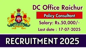DC Office Raichur Policy Consultant Recruitment 2025 - Apply Online