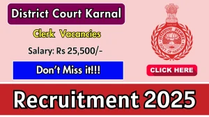 District Court Karnal Clerk Recruitment 2025 - Apply Offline for 63 Posts