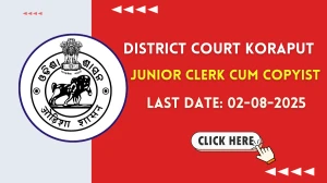District Court Koraput Junior Clerk cum Copyist Recruitment 2025 - Apply Offline for 03 Posts
