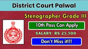 District Court Palwal Stenographer Grade III Recruitment 2025 - Apply Offline for 13 Posts