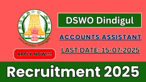 DSWO Dindigul Accounts Assistant Recruitment 2025 - Apply Offline