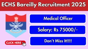 ECHS Bareilly Medical Officer Recruitment 2025 - Apply Offline for 04 Posts