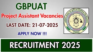 GBPUAT Project Assistant Recruitment 2025 - Apply Offline GBPUAT Project Assistant Recruitment 2025 - Apply Offline