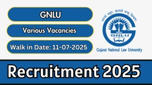 GNLU Recruitment 2025 – Walk in for 04 Research Associate, Field Investigator and More Posts