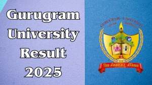 Gurugram University Result 2025 Released at gurugramuniversity.ac.in Direct Link to Download 6th Semester Result