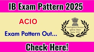 IB ACIO Exam Pattern 2025