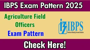 IBPS AFO Exam Pattern 2025 IBPS AFO Exam Pattern 2025