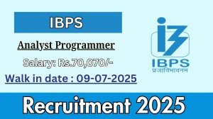 IBPS Analyst Programmer Recruitment 2025 – Walk in