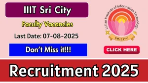 IIIT Sri City Faculty Recruitment 2025 - Apply Online for 46 Posts