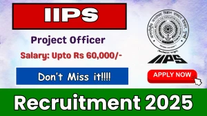 IIPS Project Officer Recruitment 2025 - Apply Offline for 01 Posts