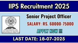 IIPS Senior Project Officer Recruitment 2025 - Apply Offline IIPS Senior Project Officer Recruitment 2025 - Apply Offline