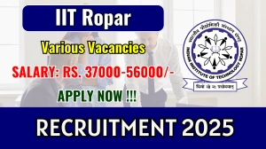 IIT Ropar Recruitment 2025 - Apply Online for Technical Project Staff, Postdoctoral Fellow Posts IIT Ropar Recruitment 2025 - Apply Online for Technical Project Staff, Postdoctoral Fellow Posts