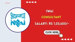 IWAI Consultant Recruitment 2025 - Apply Offline for 02 Posts