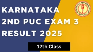 Karnataka 2nd PUC Exam 3 Result 2025 Out at karresults.nic.in Direct Link to Download Result