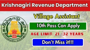 Krishnagiri Revenue Department Village Assistant Recruitment 2025 - Apply Offline for 33 Posts