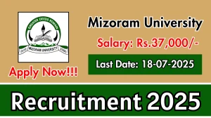 Mizoram University Recruitment 2025 - Apply Offline for 03 Research Assistant, Field Investigator Posts
