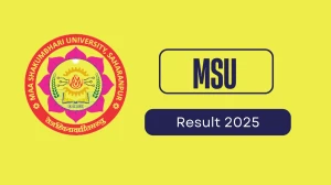 MSU Result 2025 Released at msuresults.com Direct Link to Download 1st, 2nd, 3rd, 4th, 6th Sem Result