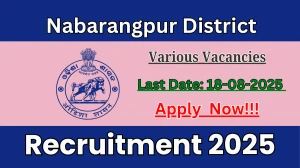 Nabarangpur District Recruitment 2025 - Apply Offline for 33 Psychiatric Nurse, Medical Officer and More Posts