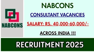 NABCONS Consultant Recruitment 2025 - Apply Online for 09 Posts NABCONS Consultant Recruitment 2025 - Apply Online for 09 Posts