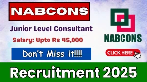 NABCONS Junior Level Consultant Recruitment 2025 - Apply Online for 01 Posts