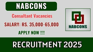 NABCONS Recruitment 2025 - Apply Online for Senior Consultant, Junior Consultant Posts