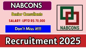 NABCONS Senior Consultants Recruitment 2025 - Apply Online